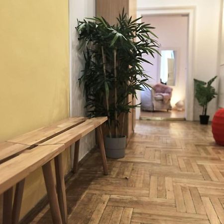 Unwind In Style W Sauna Dsgn 2Br Home 布达佩斯 外观 照片